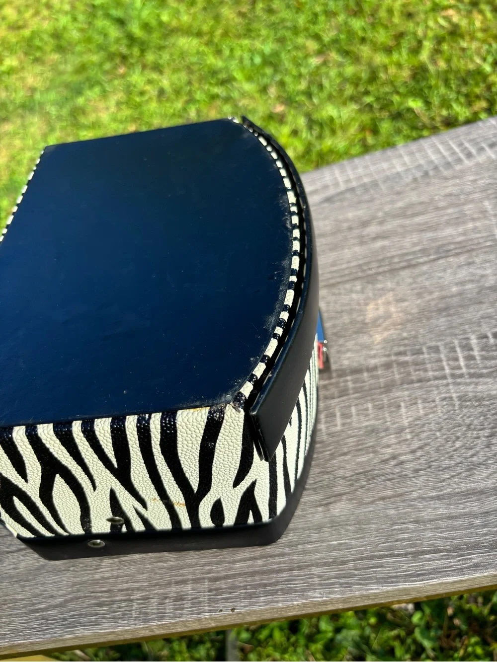 Jewelry Case Travel Organizer Zebra Design